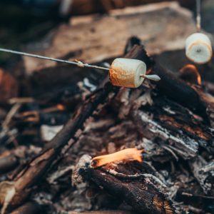 marshmallows-on-a-stick-above-camp-fire.jpg