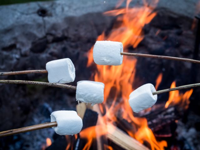 Closeup of sweet marshmallows on stick over the bonfire