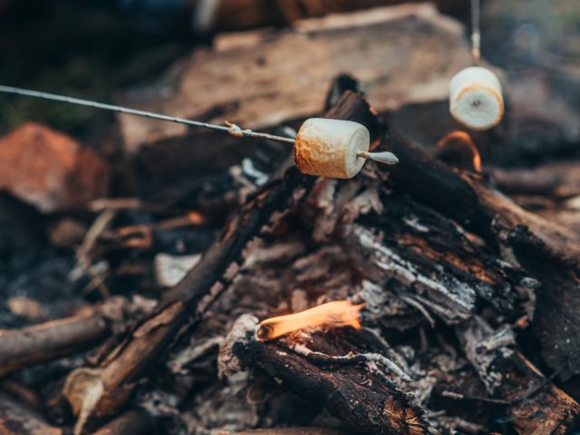 Marshmallows on a stick above camp fire