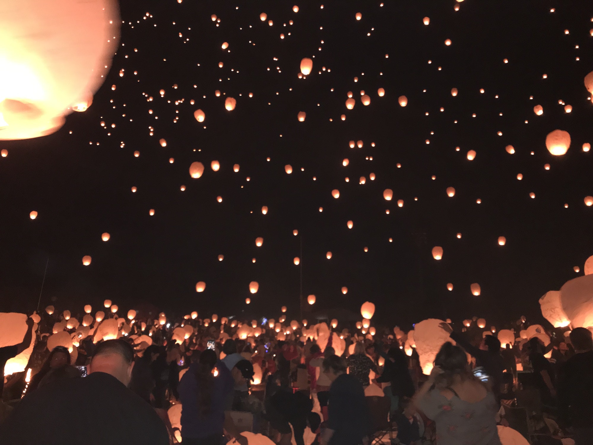 Lantern Festival in 4k  The Lights Fest 